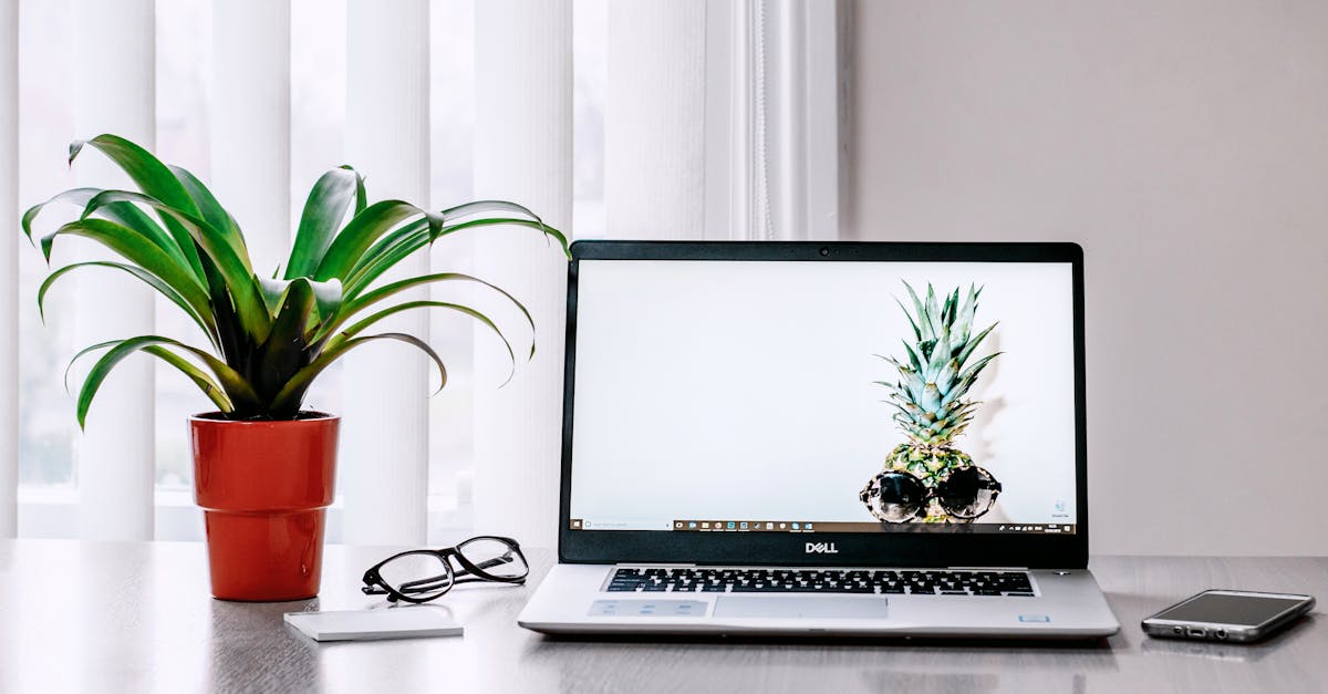 A stylish workspace featuring a laptop, plant, and smartphone on a desk.